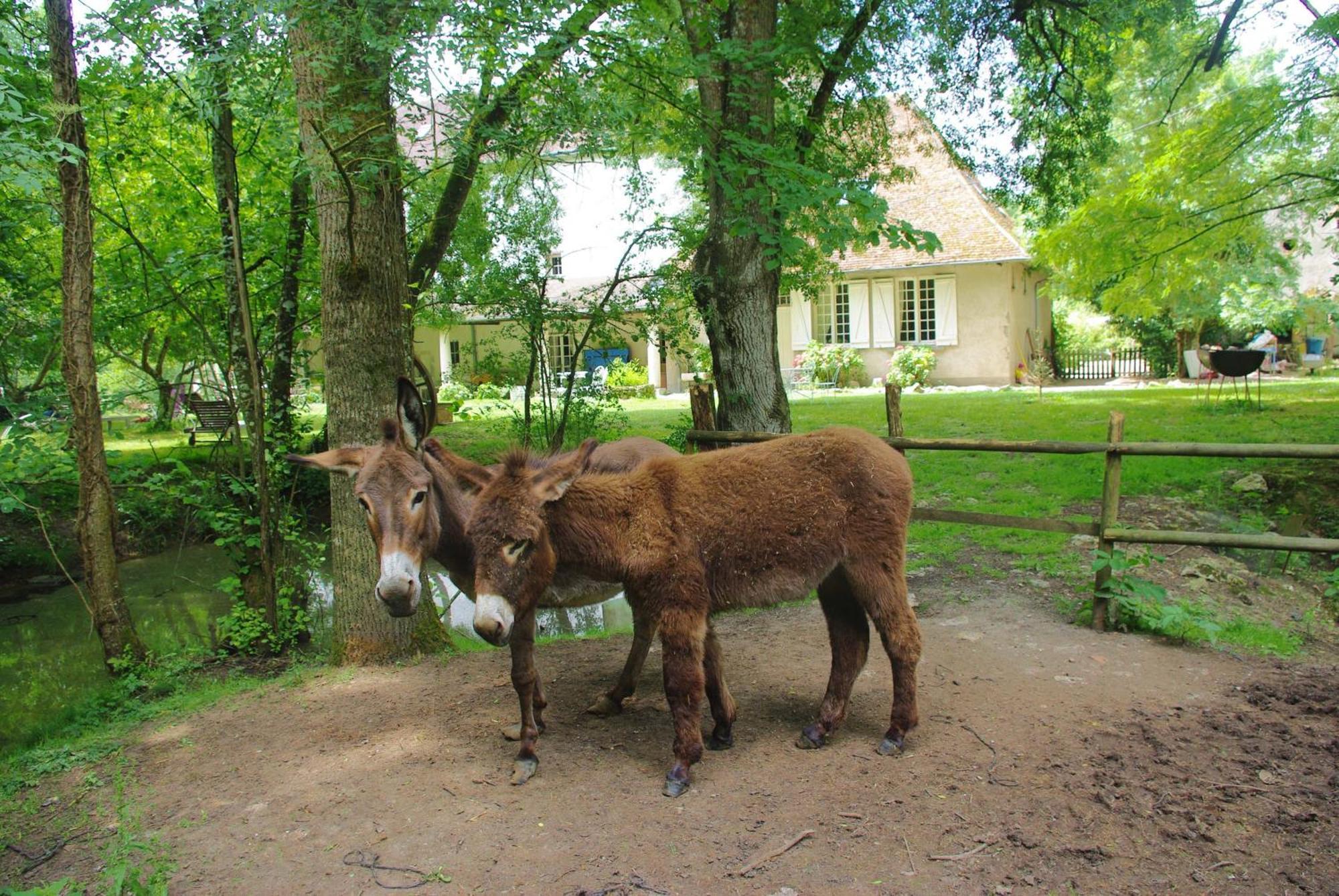 Maison D'Hotes Moulin Du Bas Pese Мон-пре-Шамбор Экстерьер фото